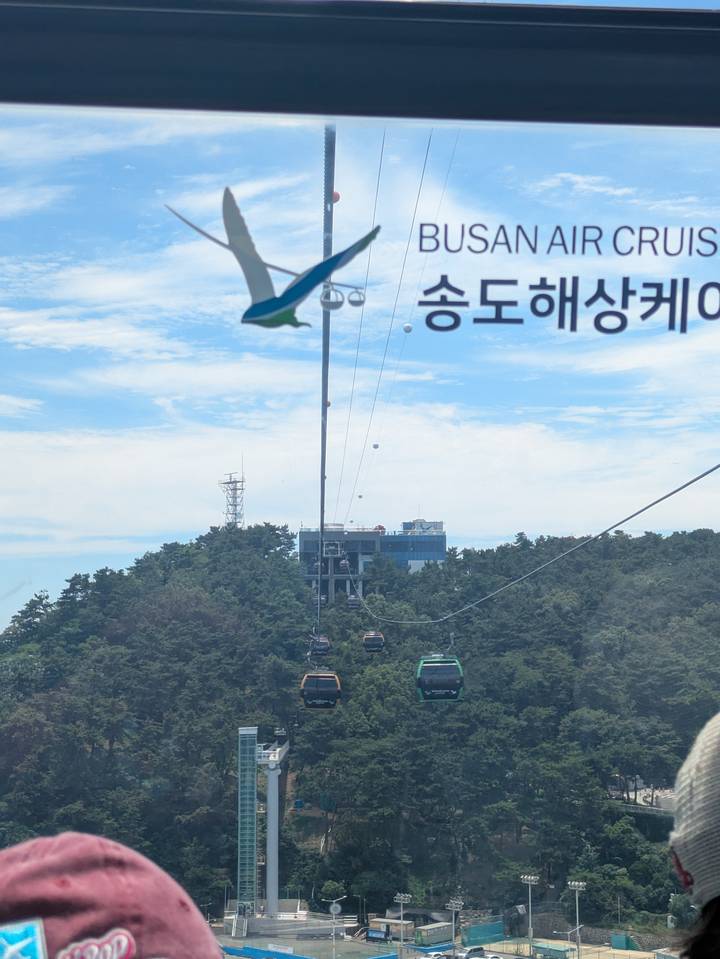 Cable cars glide over forested hills toward a blue-glass station under a bright sky with Korean text on window.
