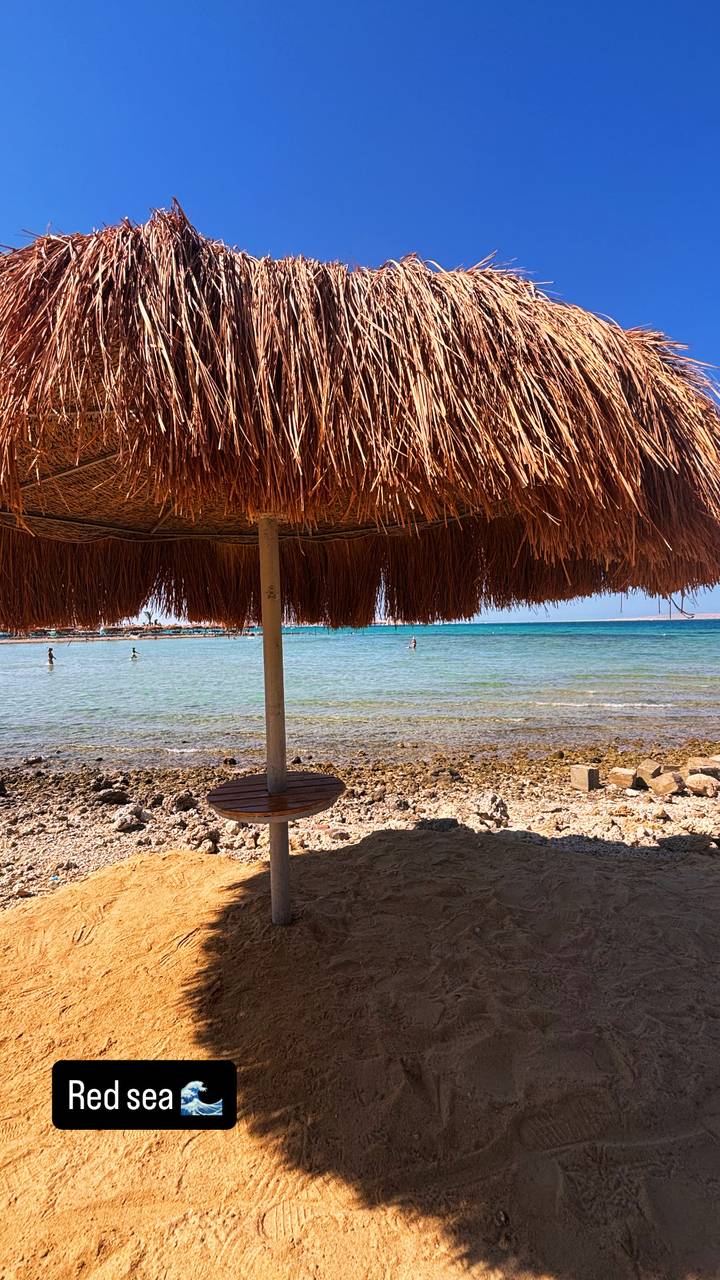Rocky shoreline and shallow turquoise sea viewed from under a thatched umbrella