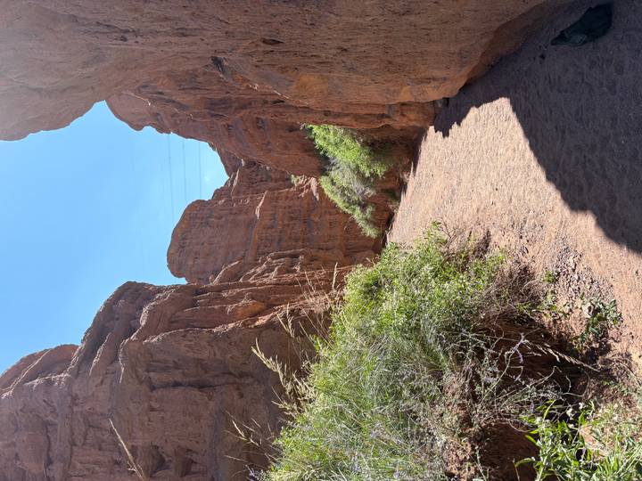 Red rock corridor lined with scrub vegetation leads deeper into a sun-bleached canyon.