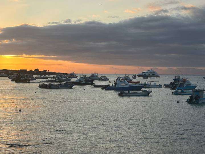 Dozens of small boats float on calm water at sunset beneath a dramatic cloud bank.