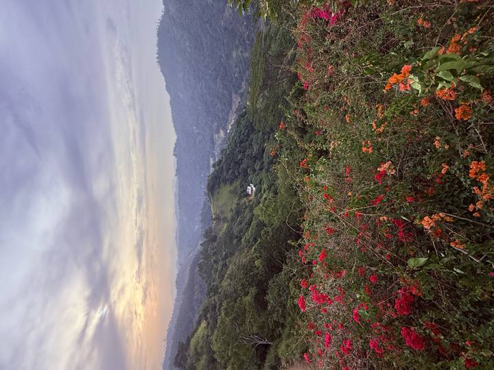 Wildflowers bloom in the foreground of a rolling green valley beneath a soft pastel evening sky.