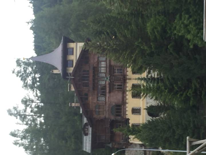 Soft-focus image of a wooden alpine chalet set among dense conifer forest on a cloudy day
