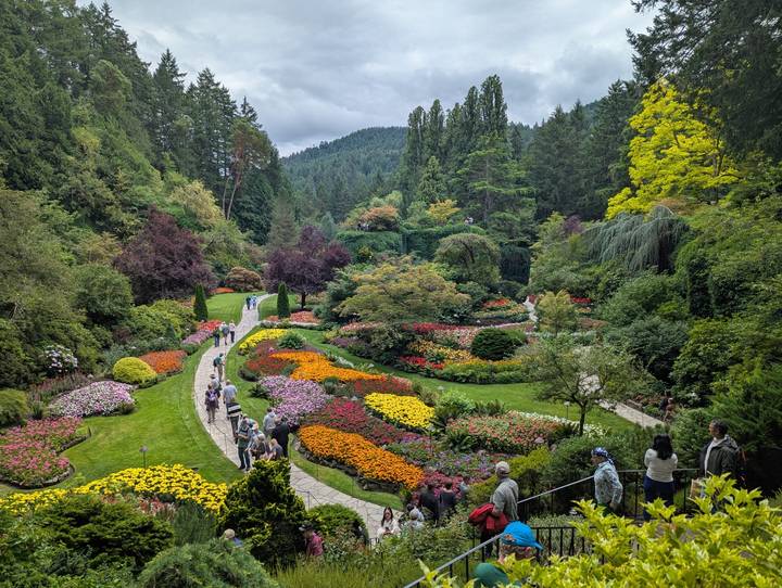 Vibrant landscaped flower beds and paths wind through a forested valley garden.