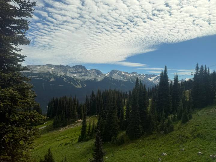 Alpine mountains and dense evergreen forest under a dramatic cloud-streaked sky.