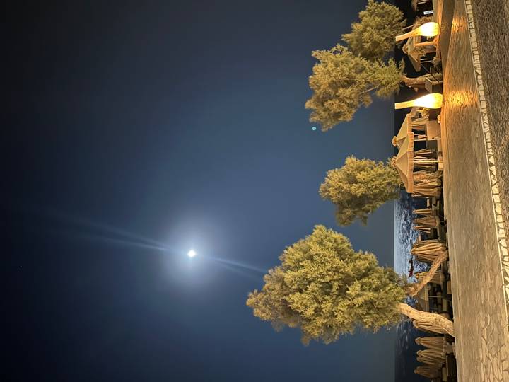 Moonlit beach scene with trees, loungers and a glowing decorative lamp by the shoreline.