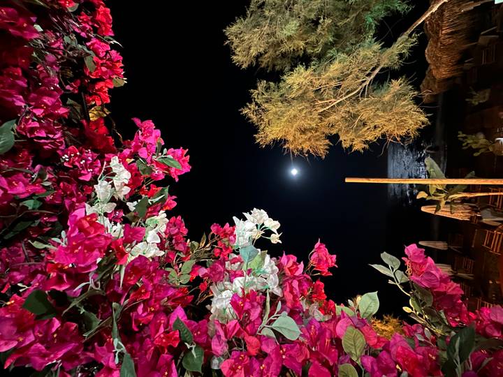 Bright bougainvillea arch framing full moon and shimmering sea at night.