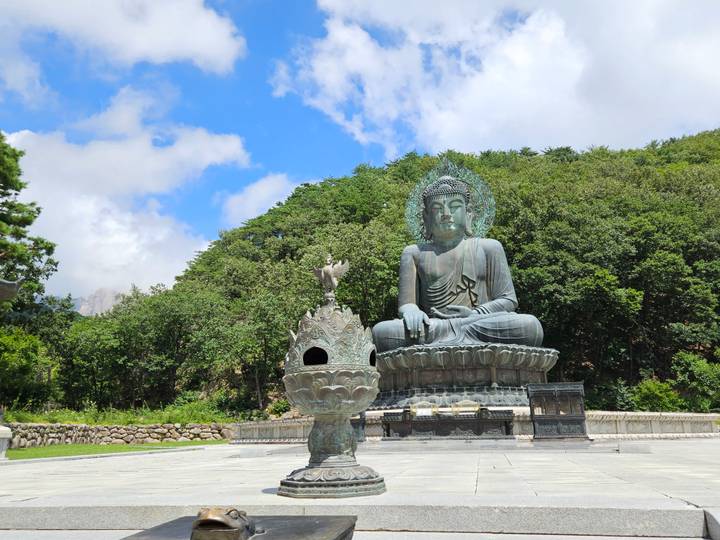 Large bronze seated Buddha statue set against a forested hillside under a bright sky.