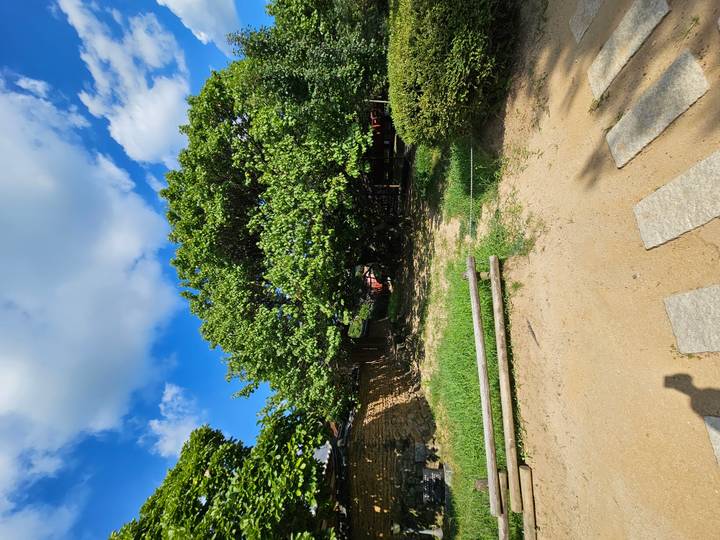 Shaded garden area with large tree and scattered benches under a bright summer sky.