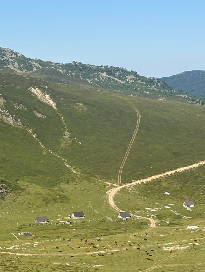 High view over a vast green alpine plateau scored with faint winding tracks.