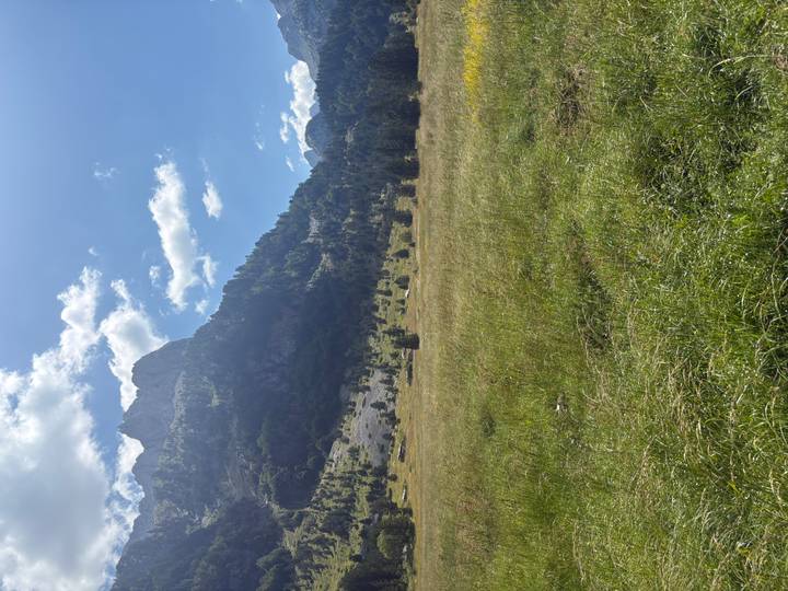 Open alpine meadow stretches toward towering forested mountains under scattered clouds.