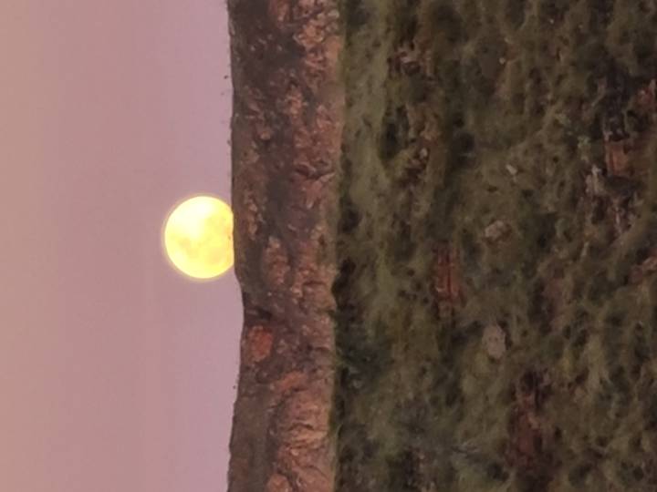 Large yellow moon setting behind rocky ridge at twilight