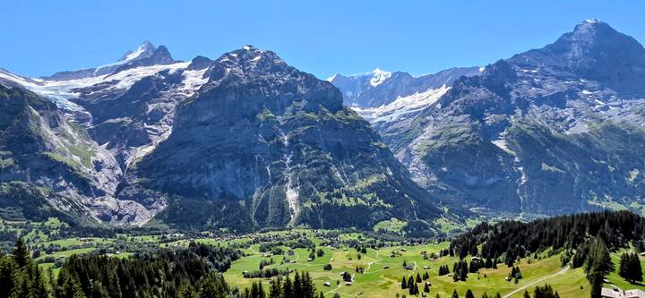 Imposing snow-capped peaks tower over emerald meadows and dense forest above Grindelwald.