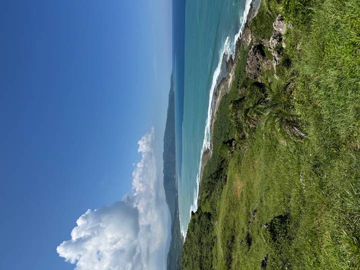 Panoramic view of turquoise ocean waves meeting a rugged, grassy coastline under a bright blue sky.