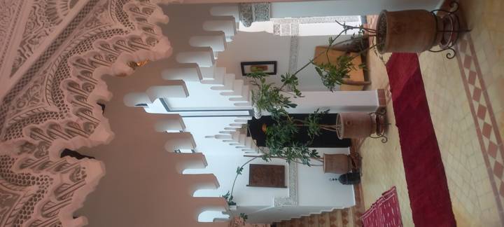 Vertical view of an inner courtyard with patterned arches, red rugs and potted plants.