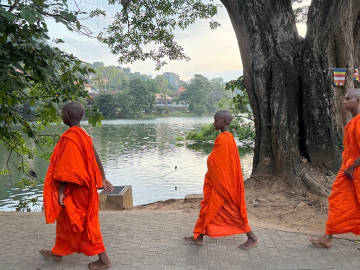 Three Buddhist monks in bright orange robes walk along a lakeside path beneath a large tree