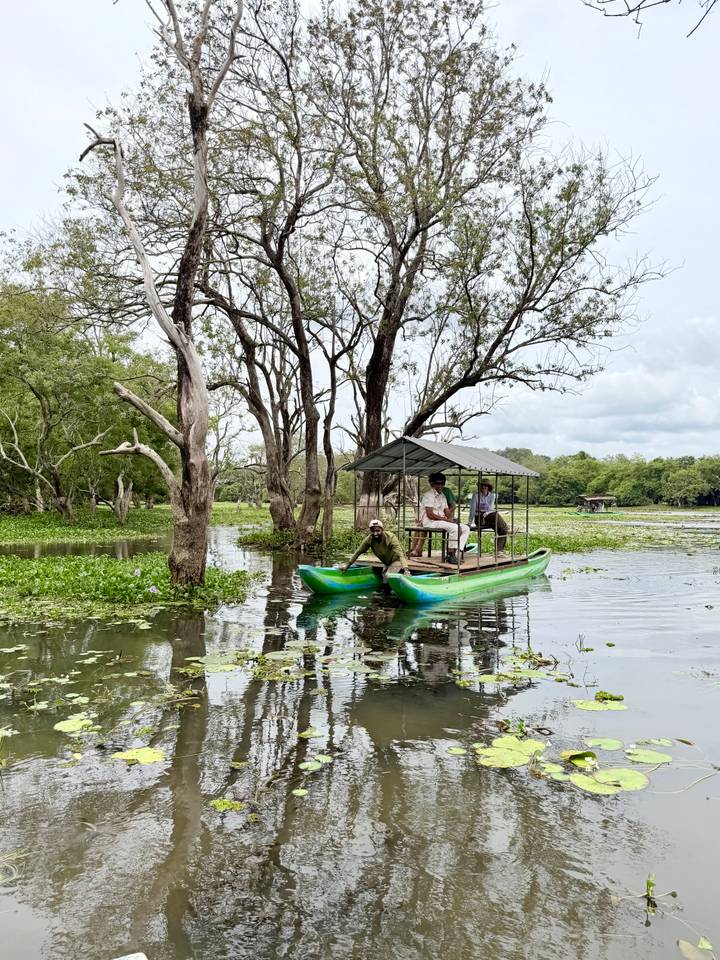 Small green catamaran with canopy carrying passengers across a calm, tree-lined lagoon