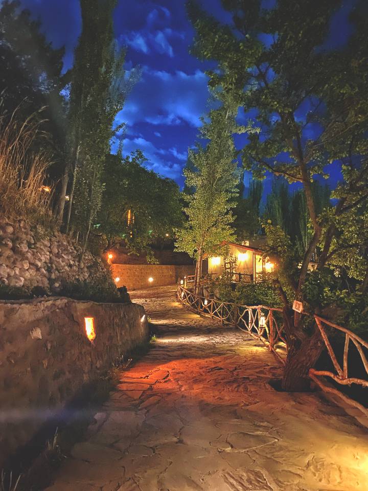 Stone pathway lit by warm lanterns winds through leafy garden at night.