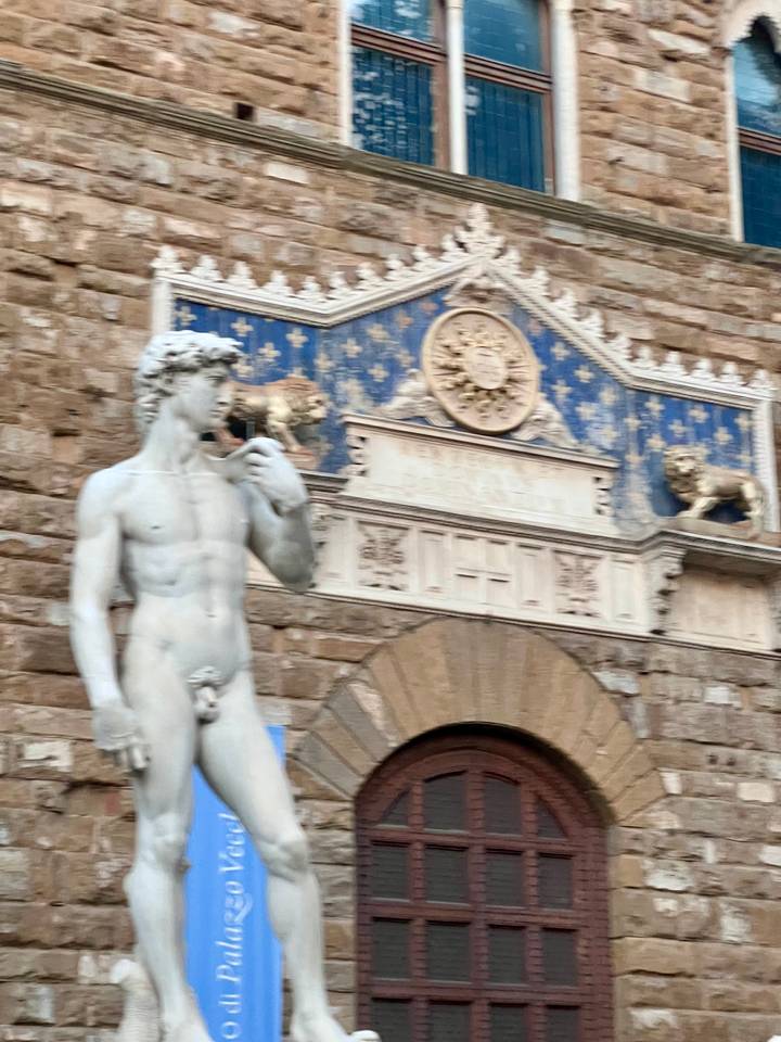 Slightly blurred image of Michelangelo's David replica before decorative blue panel