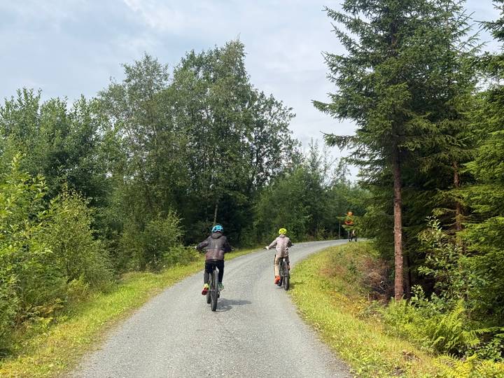 Cyclists riding e-bikes along a winding forest path on a summer day