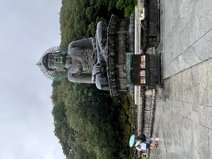 Large seated bronze Buddha statue in front of forested hillside with a visitor nearby on a gray day.