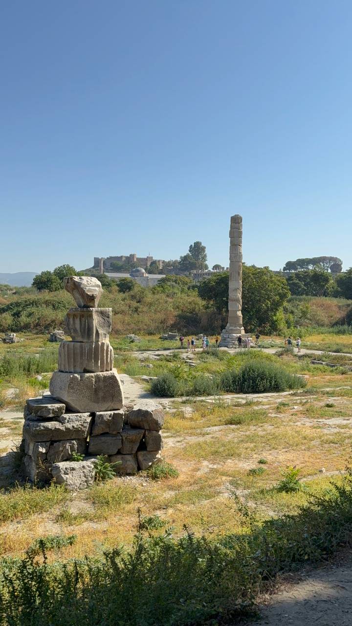 Ruins of the Temple of Artemis with a solitary column and distant fort overlook scattered visitors.