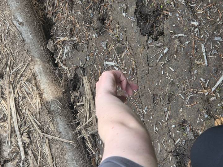 Close view of person's arm pointing at dry cracked mud and twigs on ground.