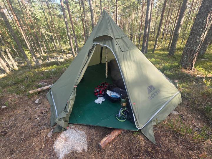 Green canvas tipi-style tent set up within pine forest clearing.