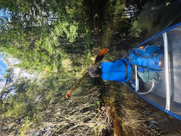 View from inside canoe as paddler navigates narrow forest river.