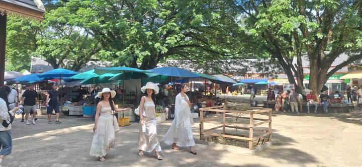 Outdoor market shaded by large trees where three stylish women walk past stalls with blue umbrellas.
