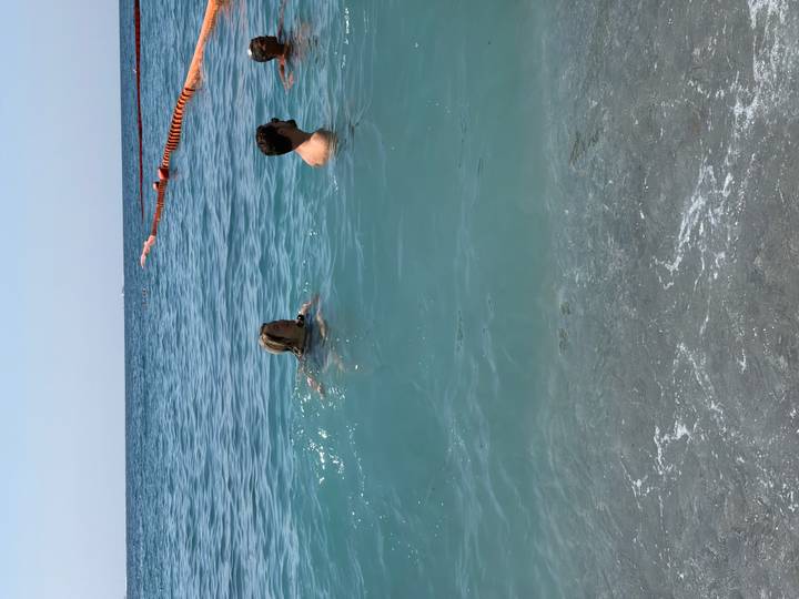 Two swimmers enjoying clear turquoise sea water near the shore