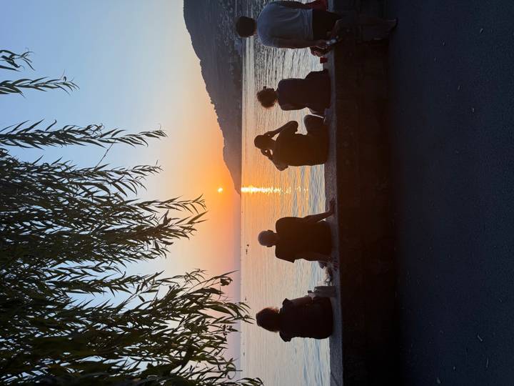 Silhouetted friends sitting under willow branches watching the sun set over a tranquil lake