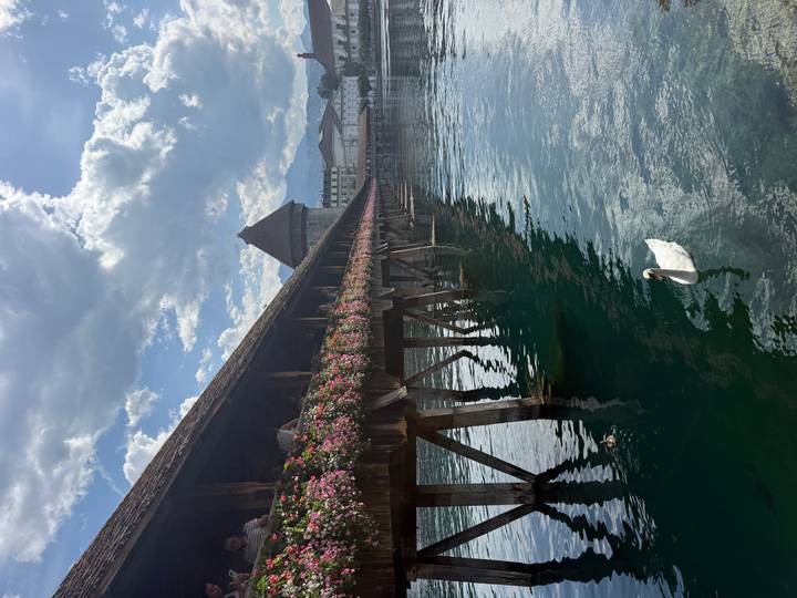 Historic wooden Chapel Bridge with flower boxes and a swan gliding on reflective water below