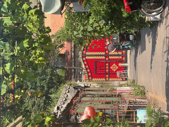 Quiet Beijing hutong alley with striking red patterned gate framed by vines and traditional houses.