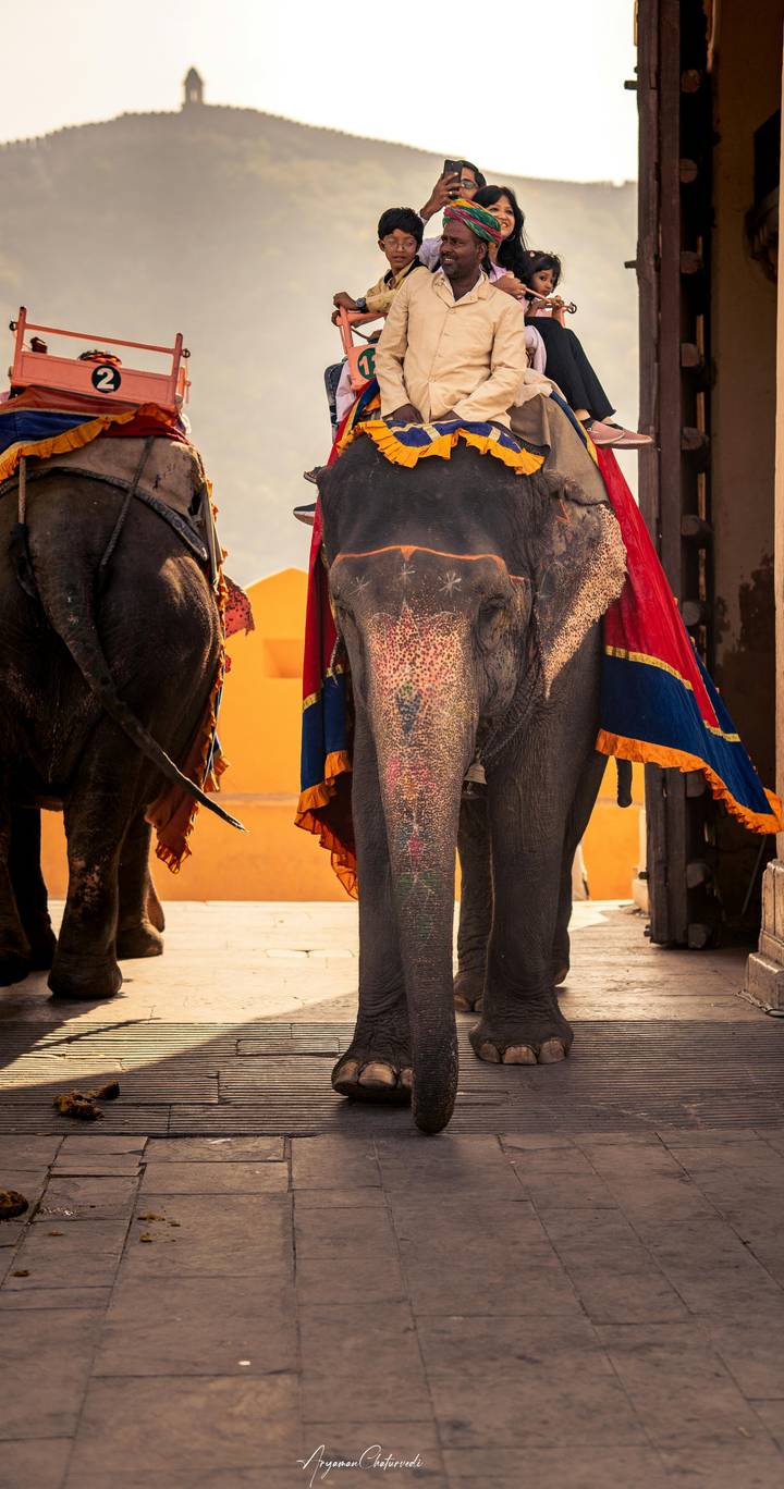 Close view of a richly painted and draped elephant within the Amber Fort area.