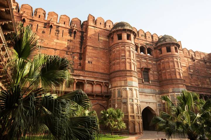 Massive red sandstone walls and turrets of Agra Fort rise above lush palm fronds.