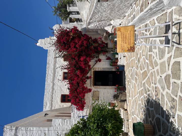 Charming whitewashed courtyard with stone paving and bright red bougainvillea cascading over doorway.