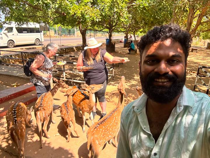 Smiling guide takes selfie with tourists feeding spotted deer in a shaded enclosure