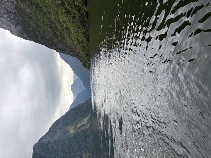 Serene fjord with rippling dark water surrounded by steep, misty mountains under a gray sky.