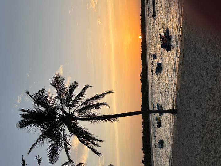 Silhouetted palm tree and small boats at the shore during a warm orange sunset.