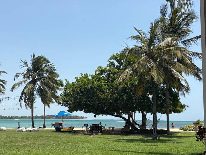 Daytime beach park with palm trees, picnic tables, and calm turquoise sea in the background.