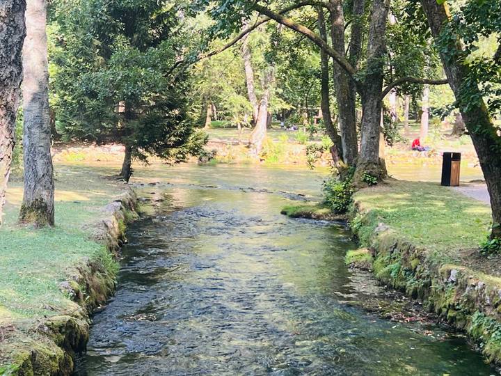Small woodland stream flowing through a shady green park with people relaxing on grass
