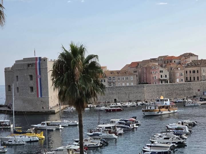 View of Dubrovnik city walls and harbour full of boats framed by a palm tree