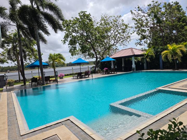 Inviting turquoise swimming pool with sun loungers, umbrellas and riverside views flanked by palm trees.