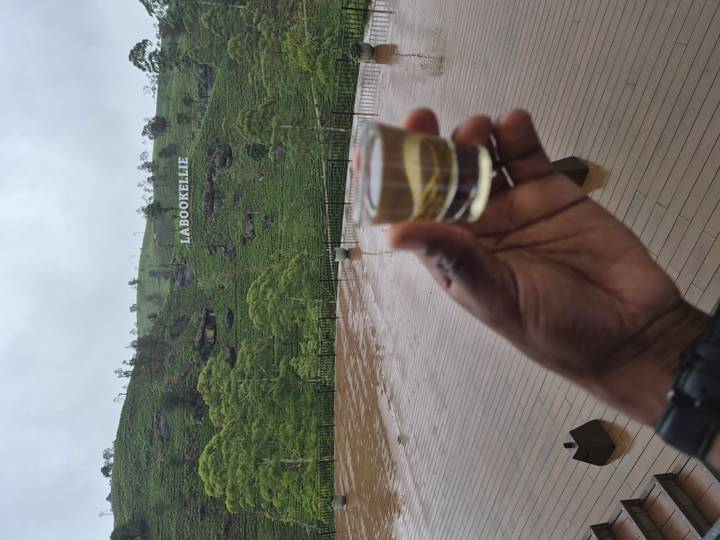 Hand holding a shot glass in front of misty tea-covered hills displaying the 'LABOOKELLIE' sign.