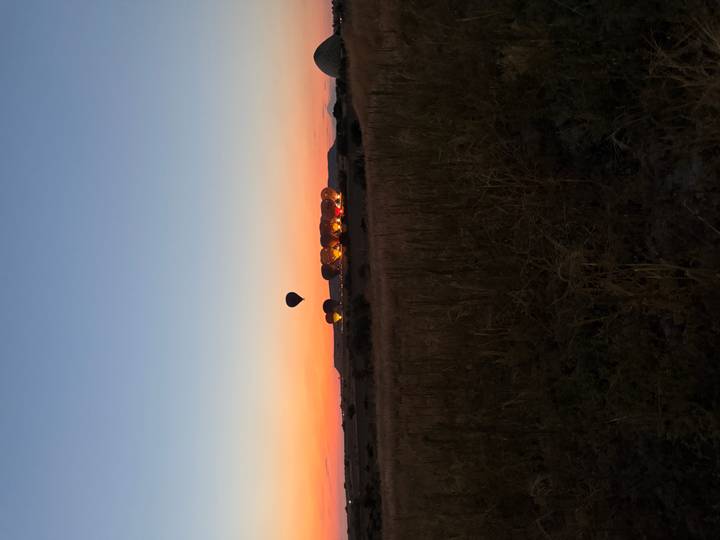 Row of hot-air balloons being inflated before dawn against a pink-orange horizon.
