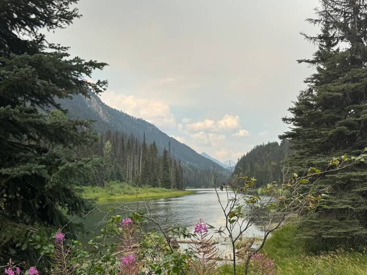 Calm river winding through a pine forest with mountain ridges in soft afternoon light and scattered clouds.