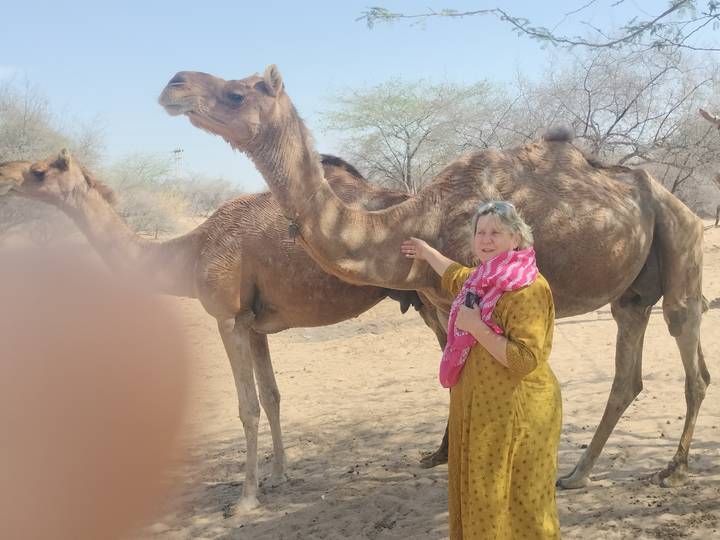 Traveler touching a camel in a desert area; a blurred finger partially obscures the left side of the frame.