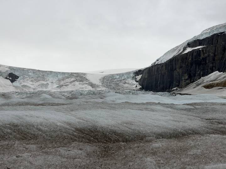 Expansive view of the Columbia Icefield glacier and surrounding rocky peaks under grey skies