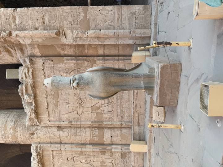 Granite falcon statue of Horus before carved temple wall reliefs.