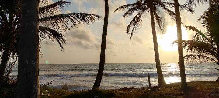 Silhouettes of palm trees framing a golden sunset over gentle ocean waves on a tropical beach.